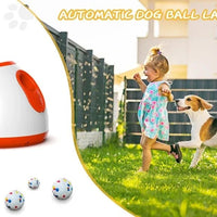 Grote Hondenbal Van Duurzaam Rubber - Veilig Speelgoed Voor Actieve Honden, 20 cm Diameter - Hebbr