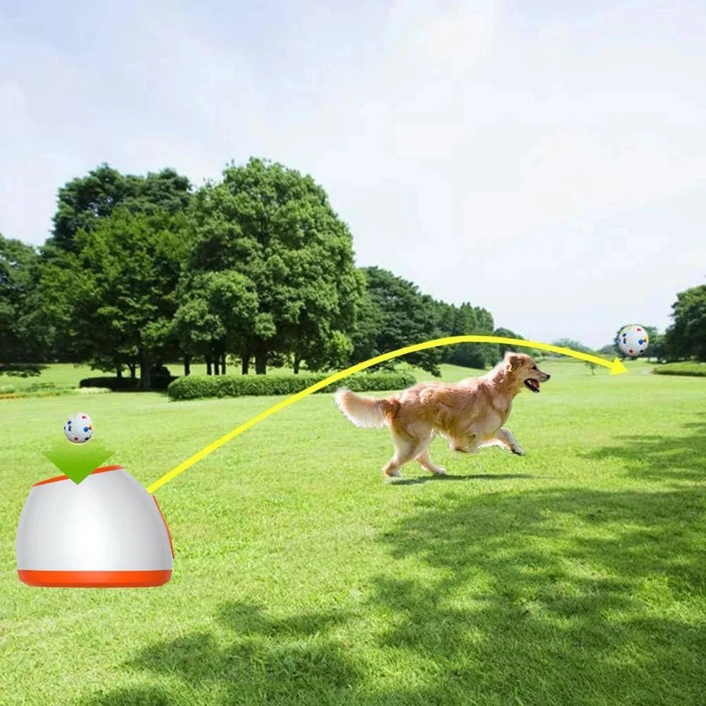 Grote Hondenbal Van Duurzaam Rubber - Veilig Speelgoed Voor Actieve Honden, 20 cm Diameter - Hebbr