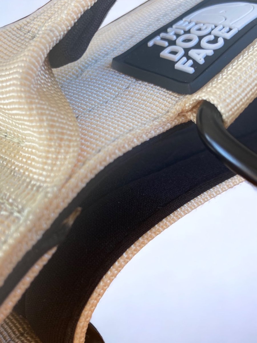 Halsband Hond 2,5 cm Nylon – Sterk en Comfortabel voor Training Oranje - Hebbr