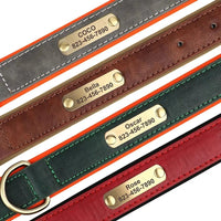 Halsband Hond Leer Verstelbaar met Naamplaatje – Comfortabel en Stijlvol Groen - Hebbr