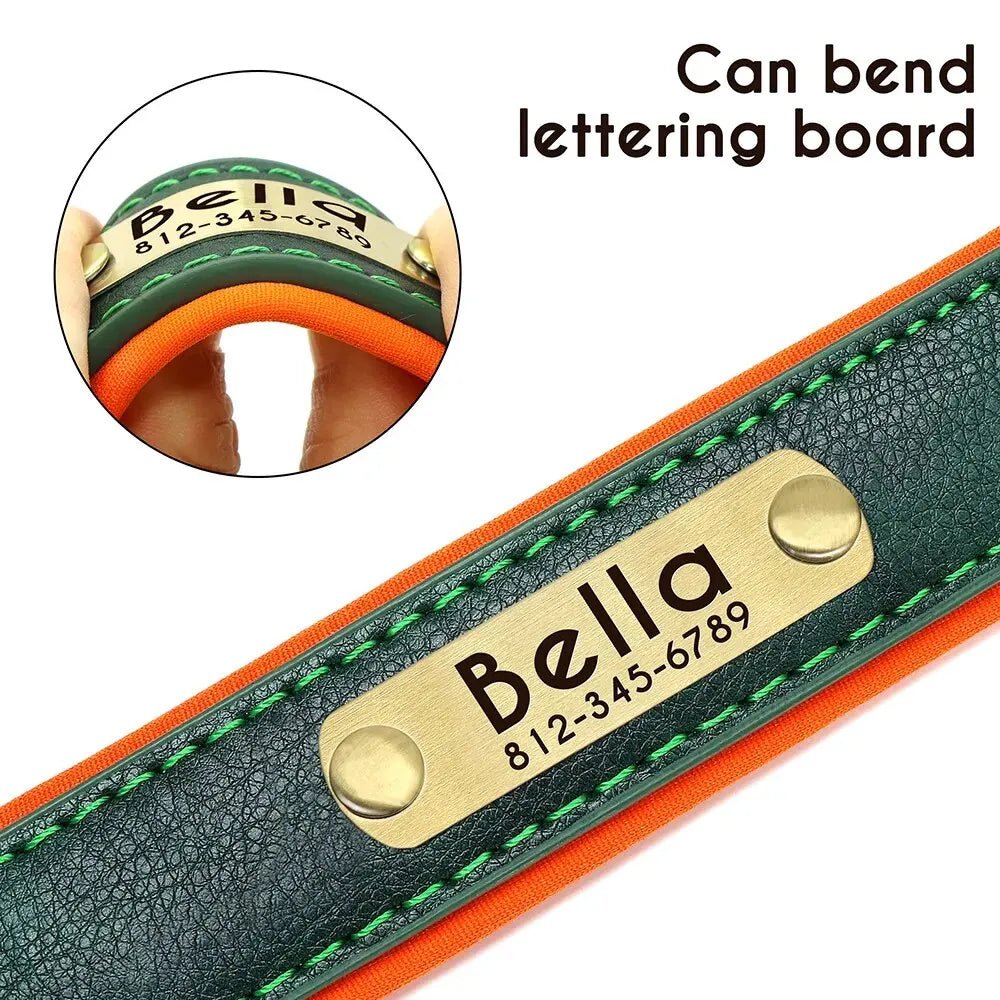 Halsband Hond Leer Verstelbaar met Naamplaatje – Comfortabel en Stijlvol Groen - Hebbr