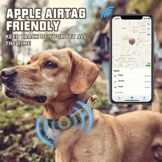 Halsband voor Honden 360° Verstelbaar Nylon – Reflecterend Knoopvrij - Hebbr