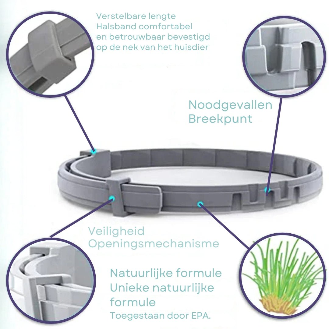 Halsband voor honden en katten 8 maanden – Natuurlijk en veilig Waterbestendig - Hebbr