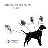 Halsband voor honden en katten 8 maanden – Natuurlijk en veilig Waterbestendig - Hebbr