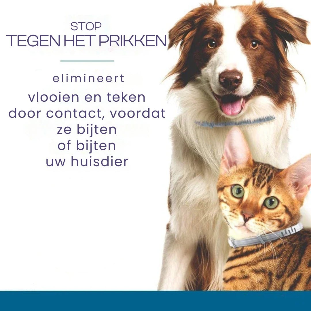 Halsband voor honden en katten 8 maanden – Natuurlijk en veilig Waterbestendig - Hebbr