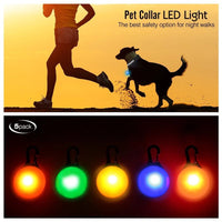 Halsband voor Honden en Katten met LED Licht – USB Oplaadbaar Waterdicht 28–60 cm - Hebbr