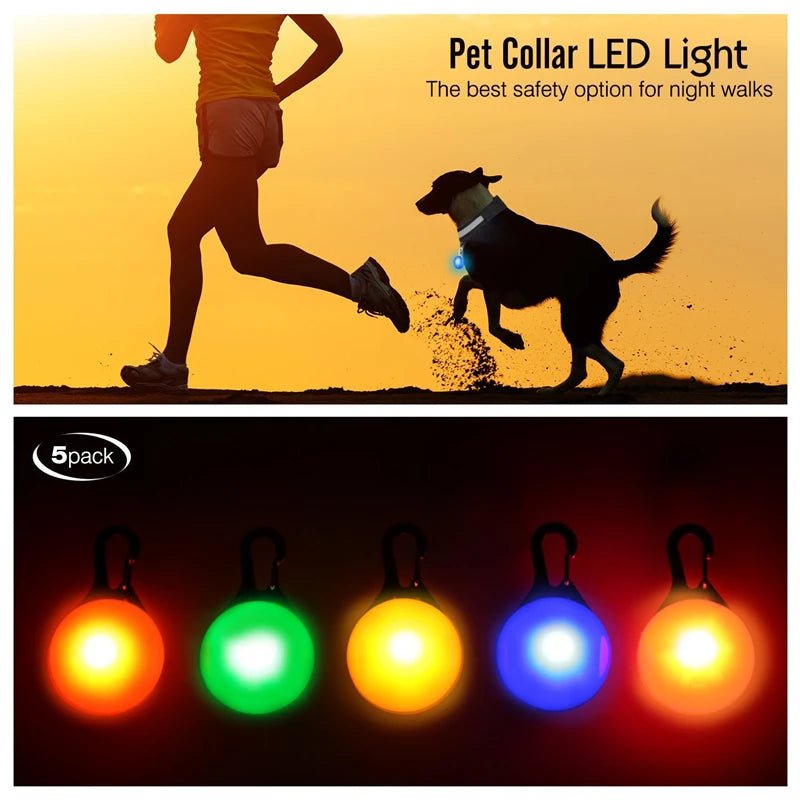 Halsband voor Honden en Katten met LED Licht – USB Oplaadbaar Waterdicht 28–60 cm - Hebbr