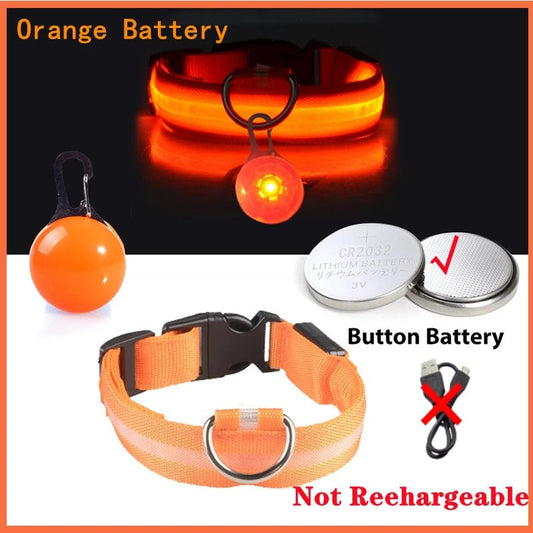 Halsband voor Honden en Katten met LED Licht – USB Oplaadbaar Waterdicht 28–60 cm - Hebbr