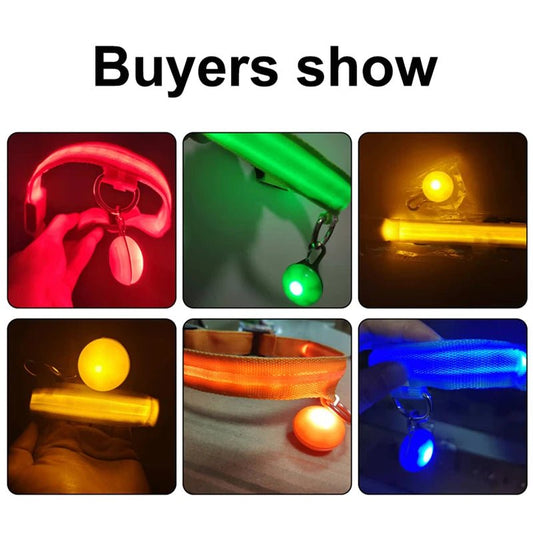 Halsband voor Honden en Katten met LED Licht – USB Oplaadbaar Waterdicht 28–60 cm - Hebbr