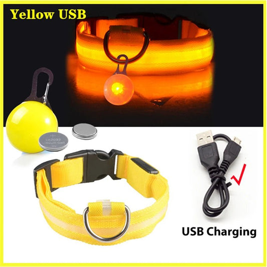 Halsband voor Honden en Katten met LED Licht – USB Oplaadbaar Waterdicht 28–60 cm - Hebbr