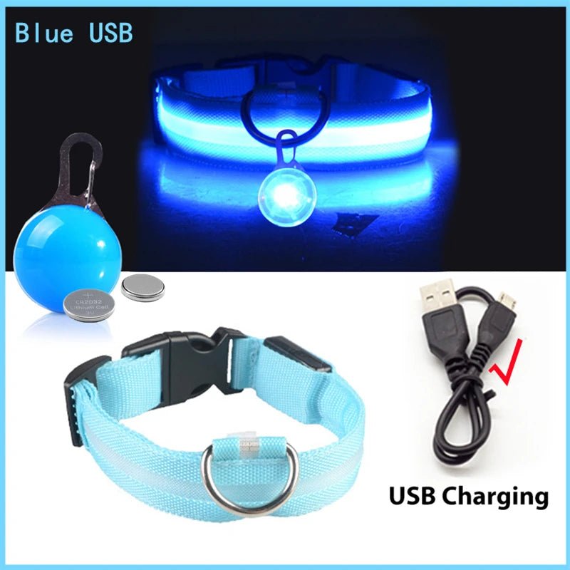 Halsband voor Honden en Katten met LED Licht – USB Oplaadbaar Waterdicht 28–60 cm - Hebbr