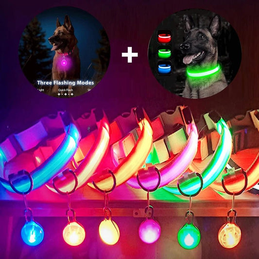 Halsband voor Honden en Katten met LED Licht – USB Oplaadbaar Waterdicht 28–60 cm - Hebbr