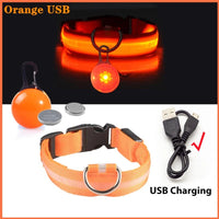 Halsband voor Honden en Katten met LED Licht – USB Oplaadbaar Waterdicht 28–60 cm - Hebbr