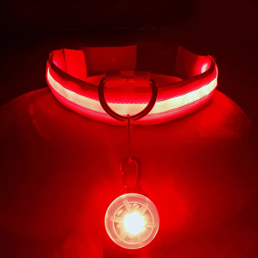 Halsband voor Honden en Katten met LED Licht – USB Oplaadbaar Waterdicht 28–60 cm - Hebbr