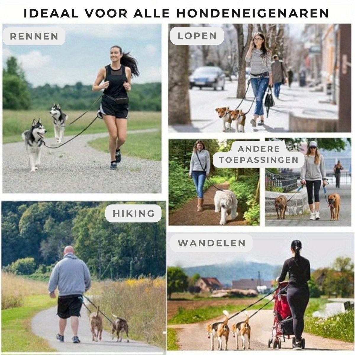 Handsfree Hondenriem Set - Reflecterend, Schokabsorberend en Duurzaam voor Middelgrote Honden - Hebbr