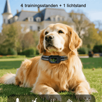 Harko Trainingshalsband Hond | 1500m Bereik, IP67 Waterdicht, Oplaadbaar, 4 Trainingsmodi - Hebbr
