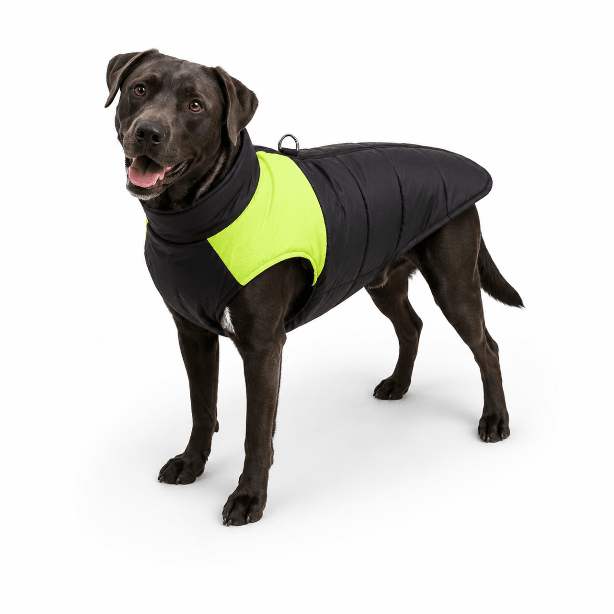 Haro Hondenjas Winter | Warm, Wind- en Waterdicht met D-ring, Verkrijgbaar in XS-6XL - Hebbr