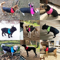 Haro Hondenjas Winter | Warm, Wind- en Waterdicht met D-ring, Verkrijgbaar in XS-6XL - Hebbr