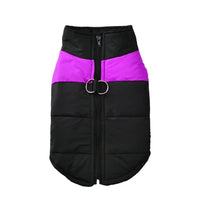 Haro Hondenjas Winter | Warm, Wind- en Waterdicht met D-ring, Verkrijgbaar in XS-6XL - Hebbr
