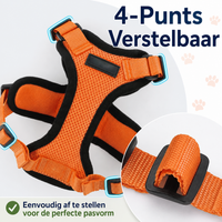Katten Harnas | Ademend, Verstelbaar, Ontsnappingsbestendig