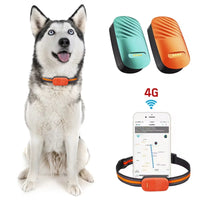Hond en Kat 4G GPS Tracker – Realtime Locatiebepaling Waterdicht Groen of Oranje - Hebbr