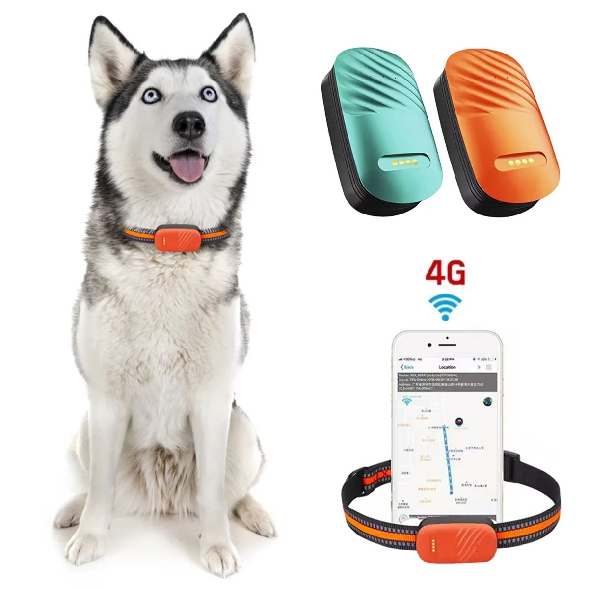 Hond en Kat 4G GPS Tracker – Realtime Locatiebepaling Waterdicht Groen of Oranje - Hebbr