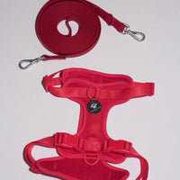 Hond Harnas en Tuigje 5 m – Comfortabel en Veilig voor Wandelen Zwart - Hebbr