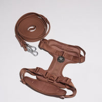 Hond Harnas en Tuigje 5 m – Comfortabel en Veilig voor Wandelen Zwart - Hebbr