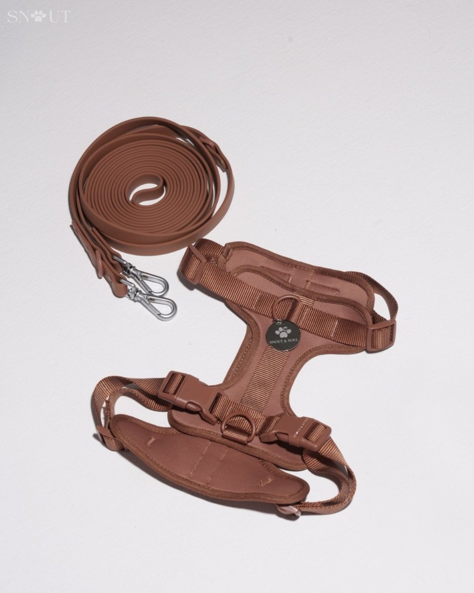 Hond Harnas en Tuigje 5 m – Comfortabel en Veilig voor Wandelen Zwart - Hebbr