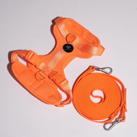 Hond Harnas en Tuigje 5 m – Comfortabel en Veilig voor Wandelen Zwart - Hebbr