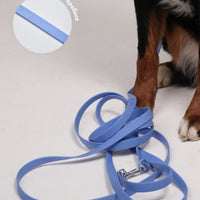 Hond Harnas en Tuigje 5 m – Comfortabel en Veilig voor Wandelen Zwart - Hebbr