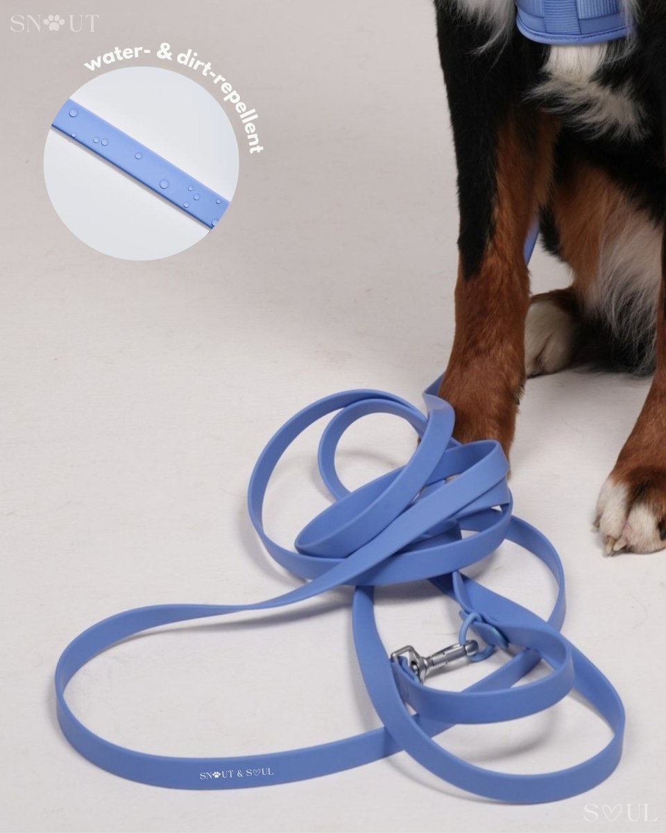 Hond Harnas en Tuigje 5 m – Comfortabel en Veilig voor Wandelen Zwart - Hebbr