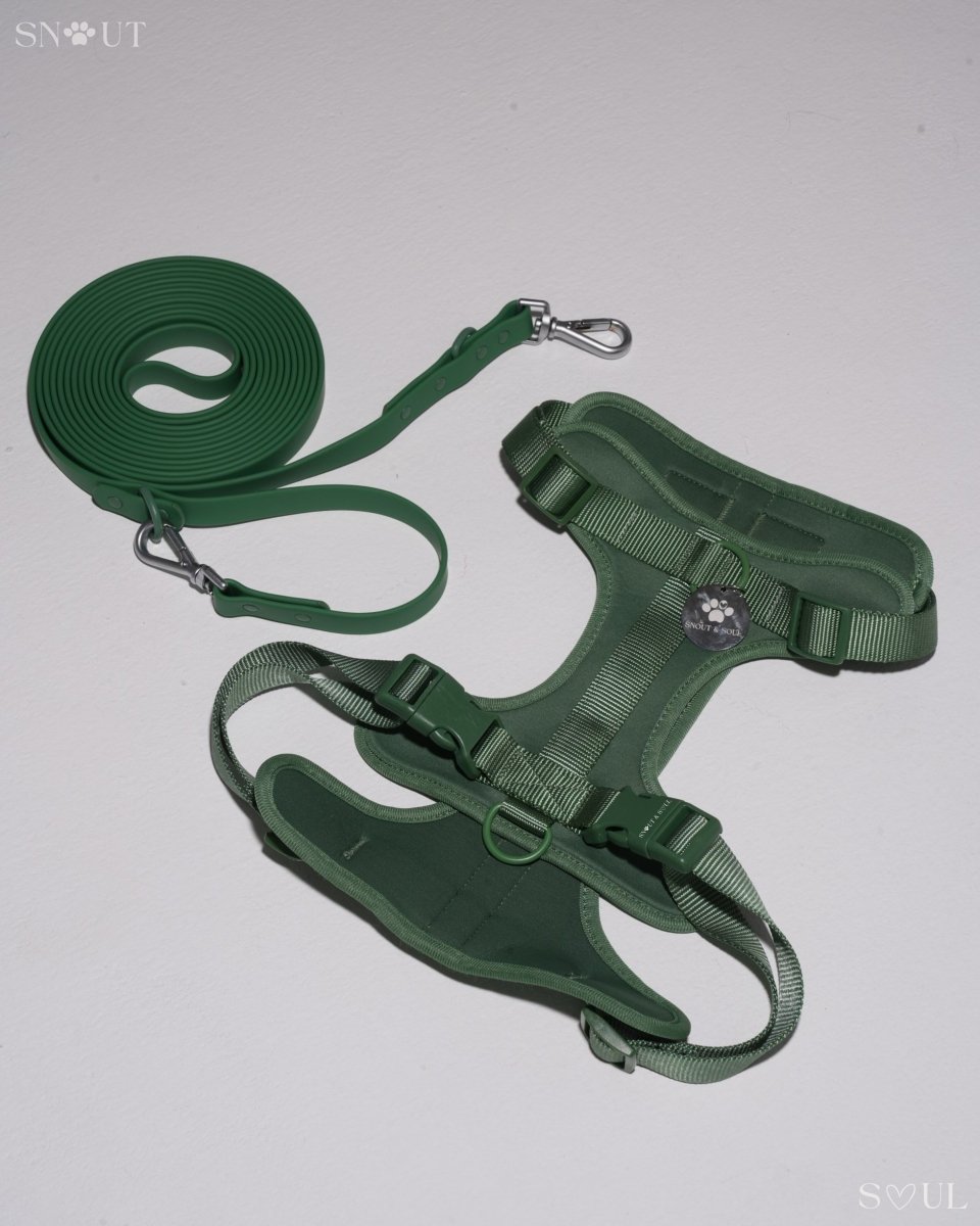 Hond Harnas en Tuigje 5 m – Comfortabel en Veilig voor Wandelen Zwart - Hebbr