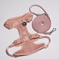 Hond Harnas en Tuigje 5 m – Comfortabel en Veilig voor Wandelen Zwart - Hebbr