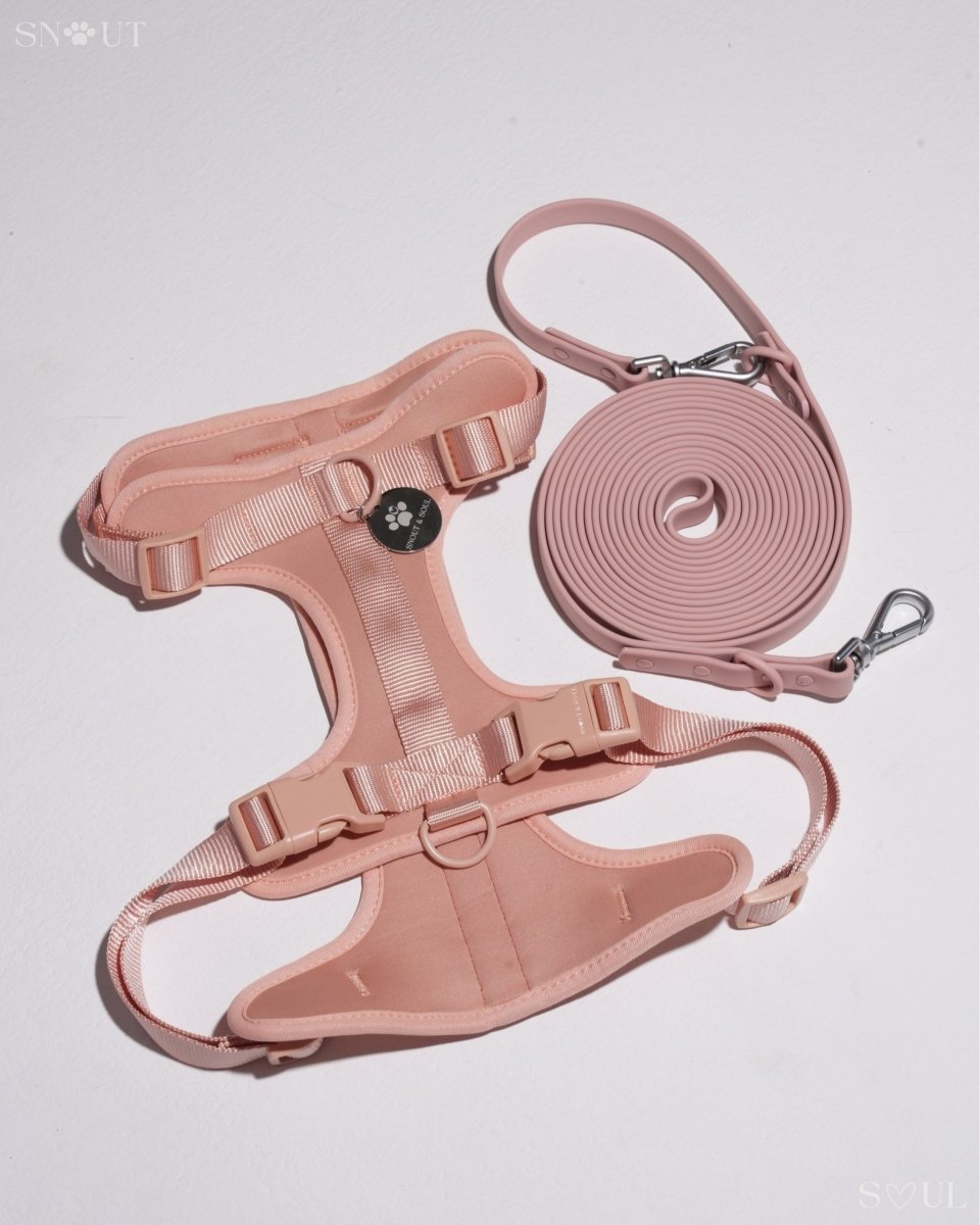 Hond Harnas en Tuigje 5 m – Comfortabel en Veilig voor Wandelen Zwart - Hebbr