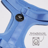 Hond Harnas en Tuigje 5 m – Comfortabel en Veilig voor Wandelen Zwart - Hebbr