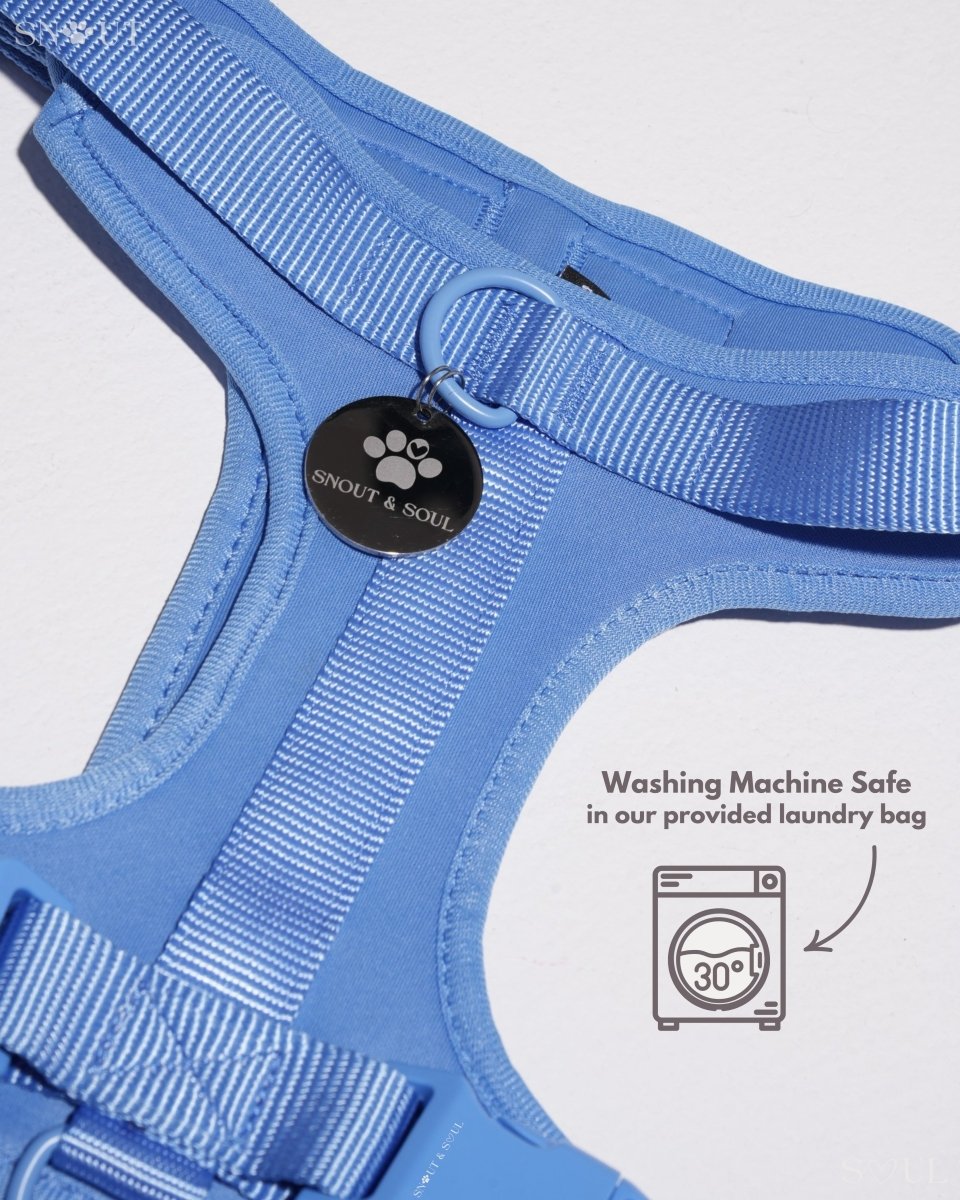 Hond Harnas en Tuigje 5 m – Comfortabel en Veilig voor Wandelen Zwart - Hebbr