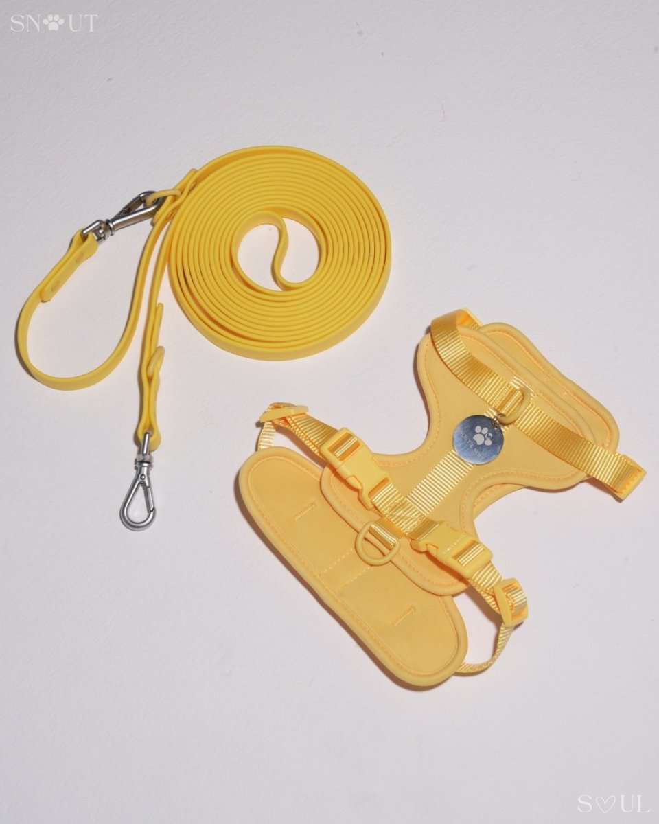 Hond Harnas en Tuigje 5 m – Comfortabel en Veilig voor Wandelen Zwart - Hebbr