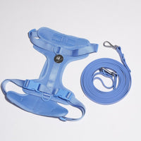 Hond Harnas en Tuigje 5 m – Comfortabel en Veilig voor Wandelen Zwart - Hebbr