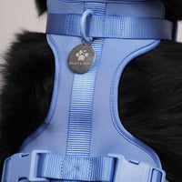 Hond Harnas en Tuigje 5 m – Comfortabel en Veilig voor Wandelen Zwart - Hebbr