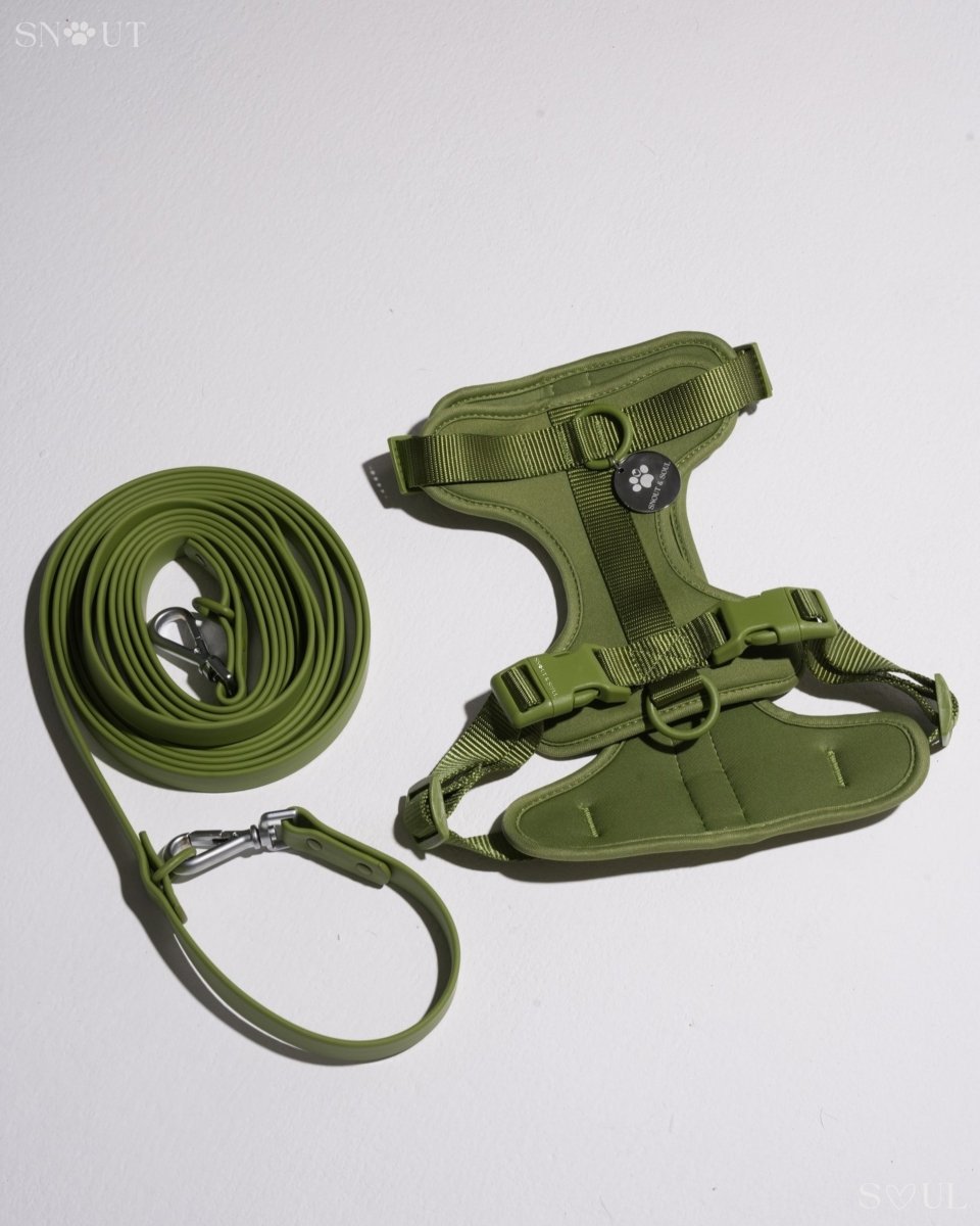 Hond Harnas en Tuigje 5 m – Comfortabel en Veilig voor Wandelen Zwart - Hebbr