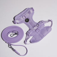 Hond Harnas en Tuigje 5 m – Comfortabel en Veilig voor Wandelen Zwart - Hebbr