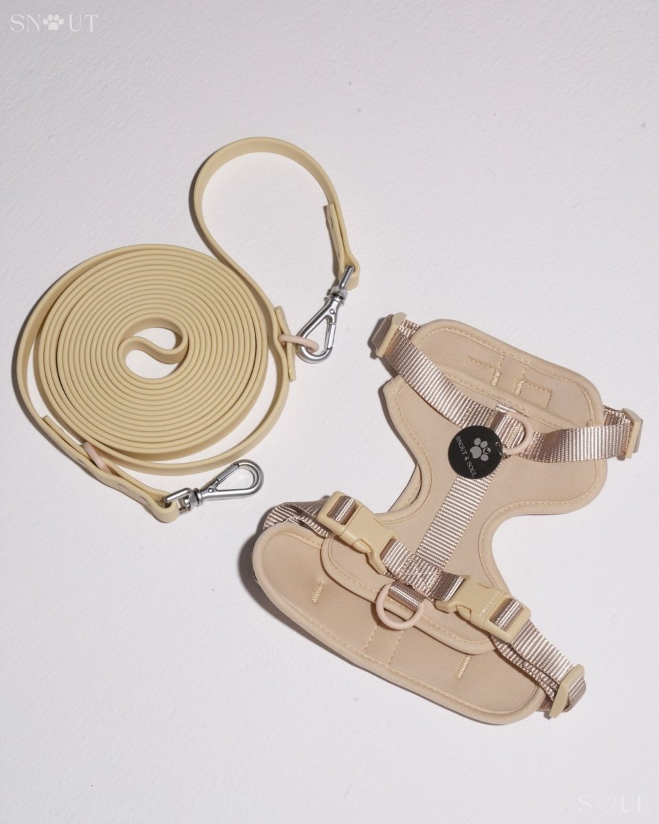 Hond Harnas en Tuigje 5 m – Comfortabel en Veilig voor Wandelen Zwart - Hebbr