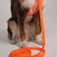 Hond Harnas en Tuigje 5 m – Comfortabel en Veilig voor Wandelen Zwart - Hebbr