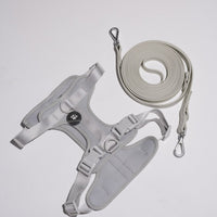 Hond Harnas en Tuigje 5 m – Comfortabel en Veilig voor Wandelen Zwart - Hebbr