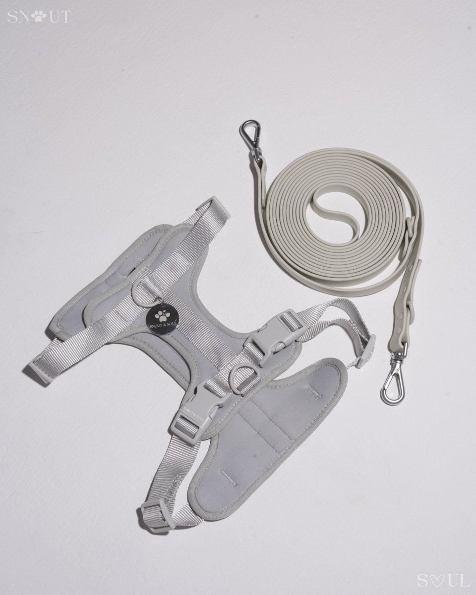 Hond Harnas en Tuigje 5 m – Comfortabel en Veilig voor Wandelen Zwart - Hebbr