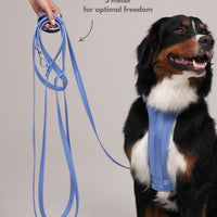 Hond Harnas en Tuigje 5 m – Comfortabel en Veilig voor Wandelen Zwart - Hebbr