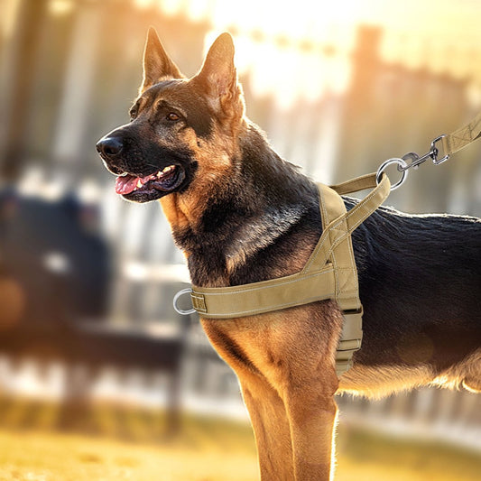 Hond harnas S 46 - 58 cm Nylon – No Pull en Reflecterend Khaki - Hebbr