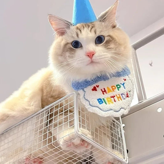 Hond Kat Verjaardag Hoed en Bandana Set – Duurzaam Feestelijk Roze - Hebbr