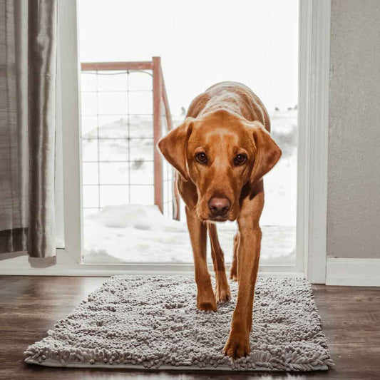 Hond Pootmat 60×90 cm Microvezel – Ultra Absorberend Antislip Grijs - Hebbr
